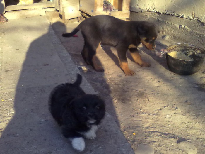 020120131895 - z PAZA