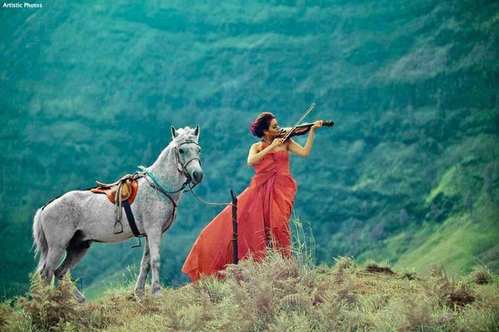 293742_508311239186897_690558291_n