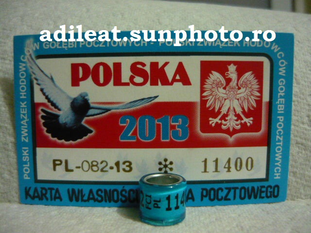POLONIA-2013 - POLONIA-PL-ring collection