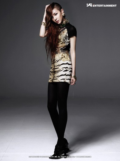dara 6 - 2NE1 3