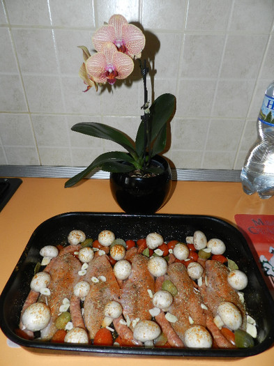 PUI,CARNACIORI SI LEGUME