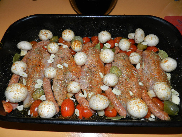 DSCN7344 - GUSTOSENII