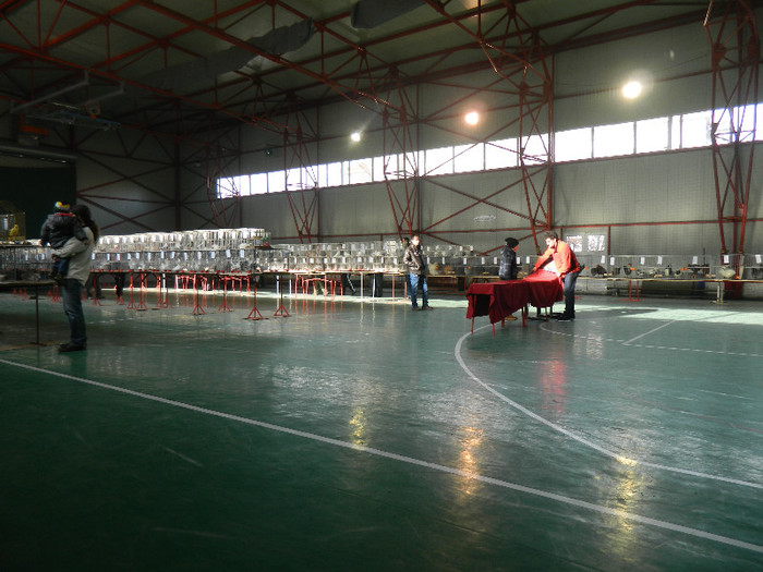 DSCN3537 - Expo Carei 2013