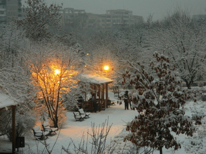 DSCN1297 - Parcul vedere din balcon azi 12 ian 2013