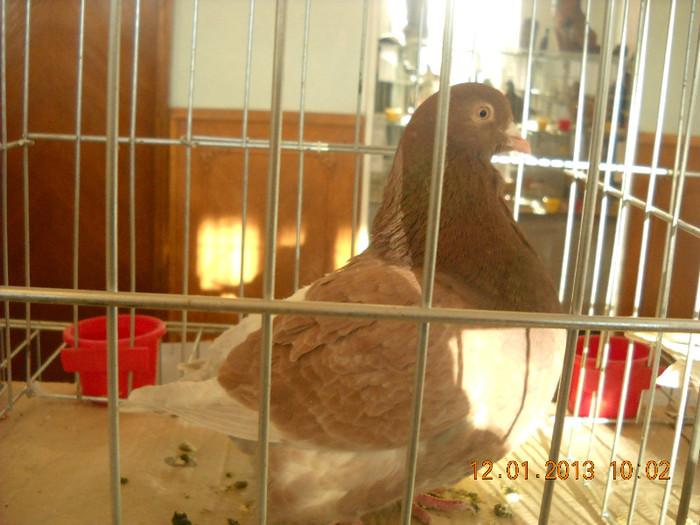 DSCN0276