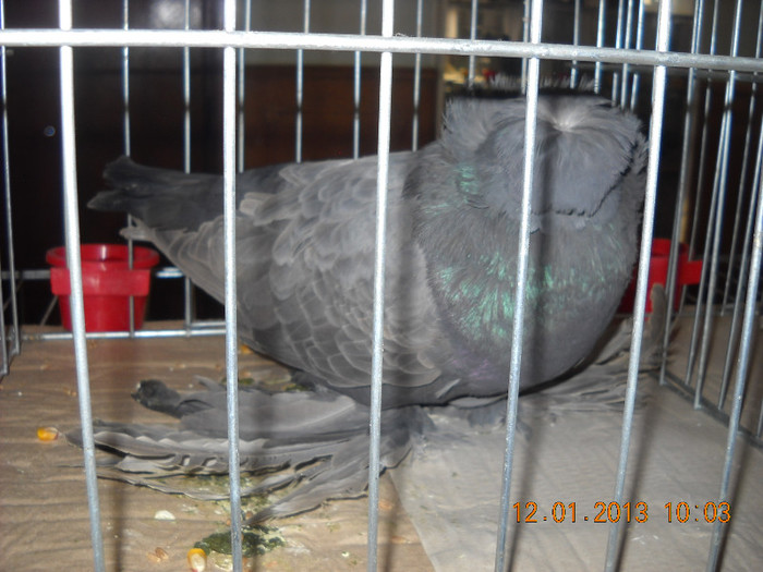 DSCN0278