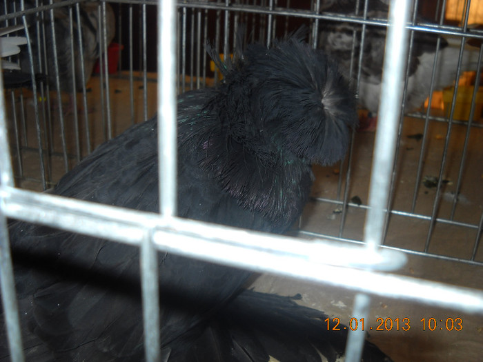 DSCN0279