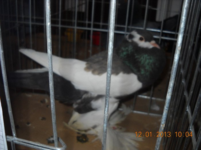 DSCN0283