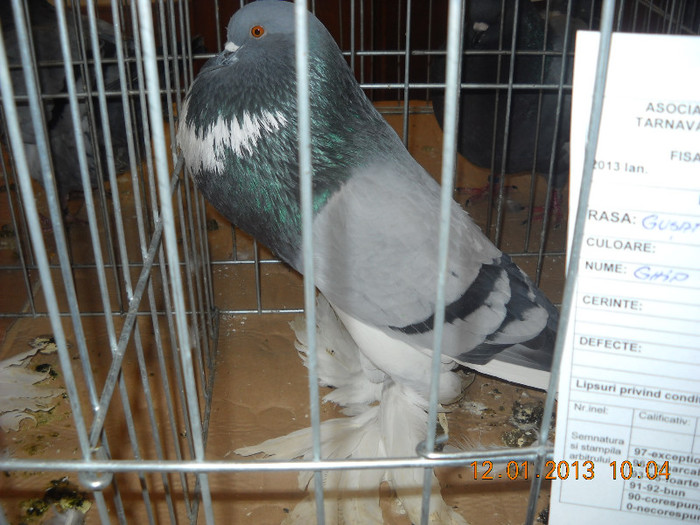 DSCN0286