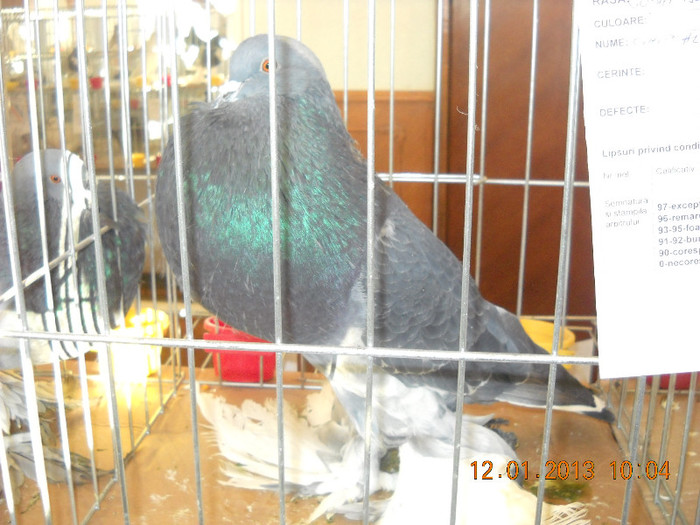 DSCN0287