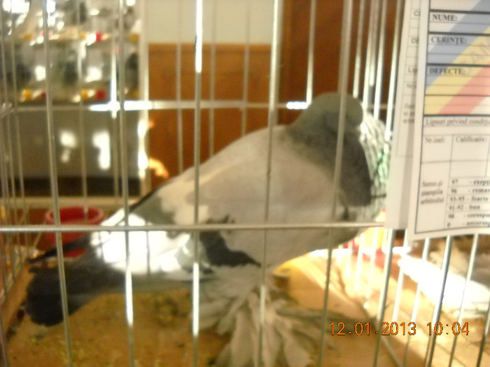 DSCN0288