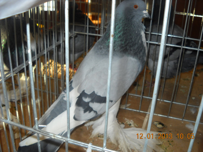 DSCN0289