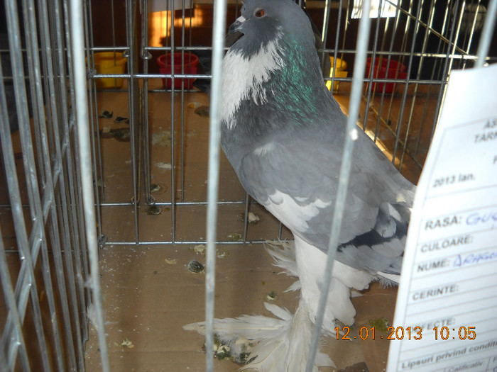 DSCN0292