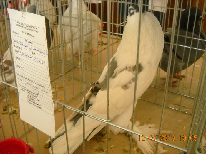 DSCN0294