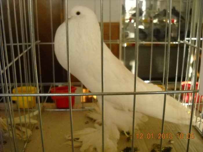 DSCN0295