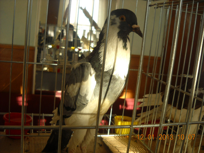 DSCN0311
