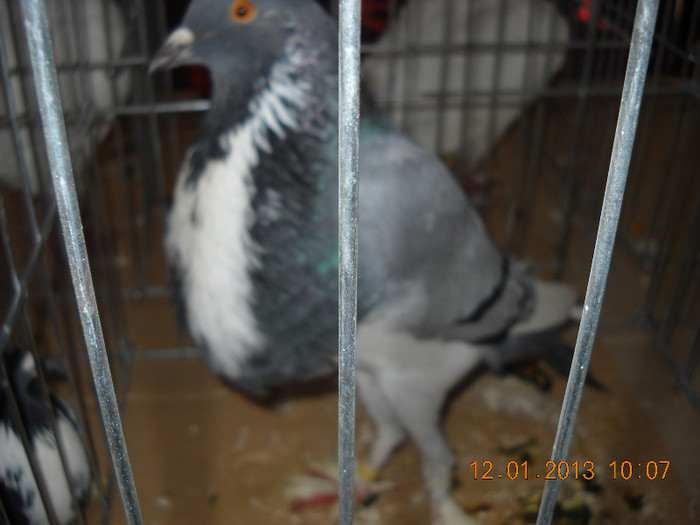 DSCN0312