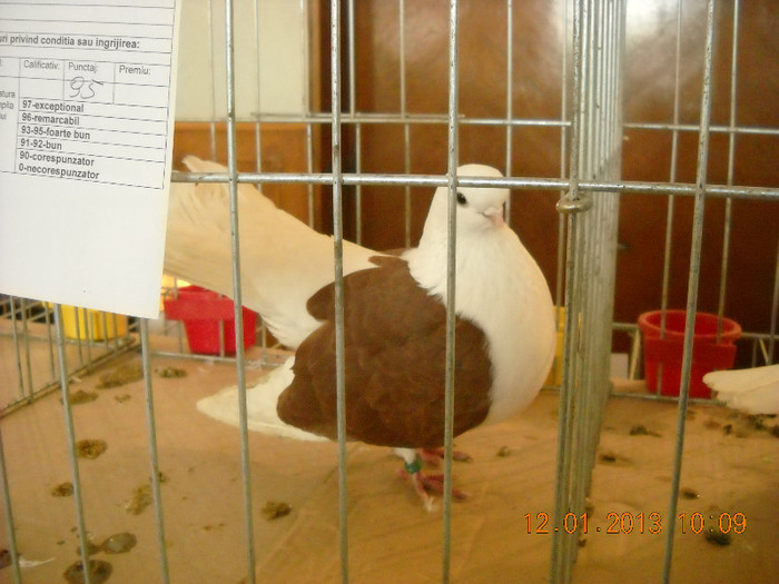 DSCN0317