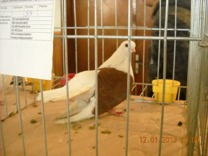 DSCN0318