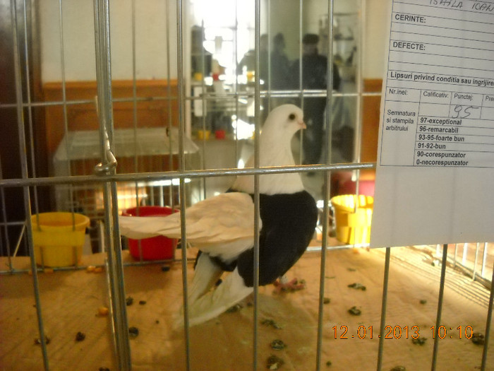 DSCN0320