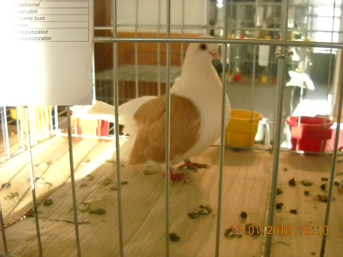 DSCN0321