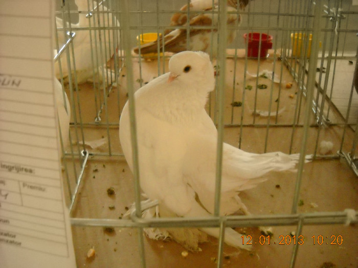 DSCN0326