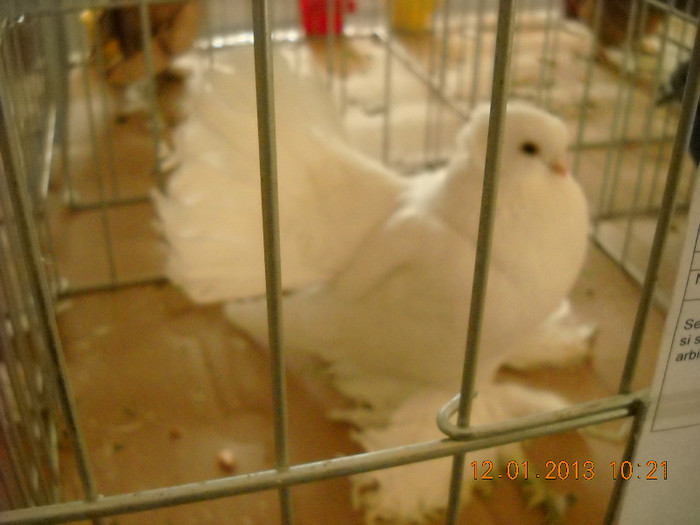 DSCN0328