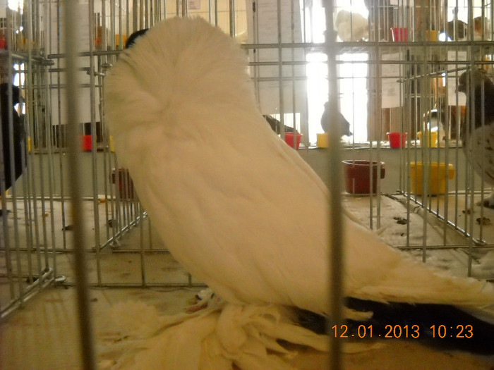 DSCN0340