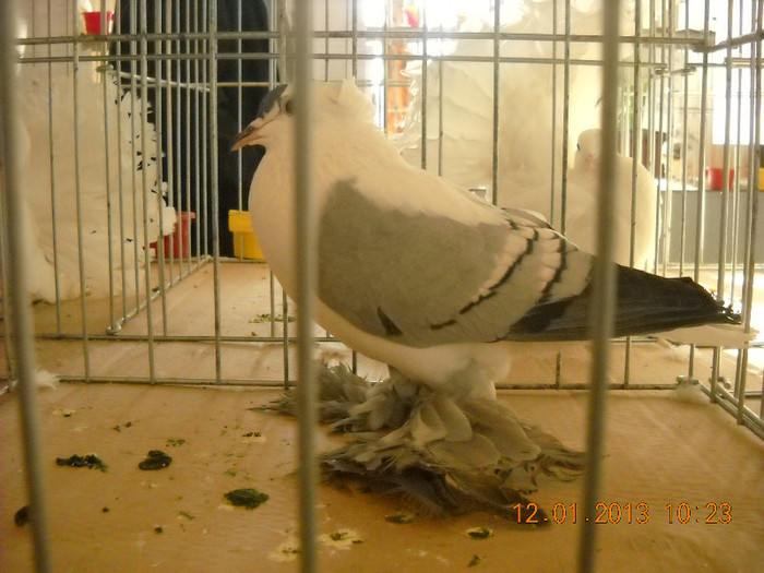 DSCN0343