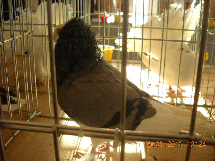 DSCN0344
