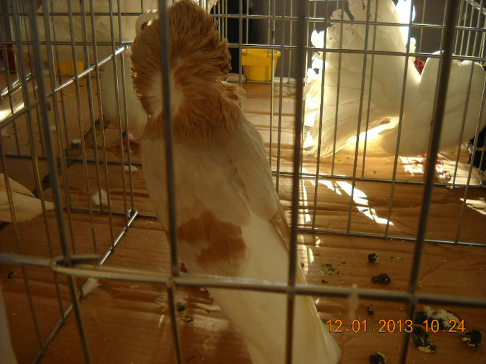 DSCN0345