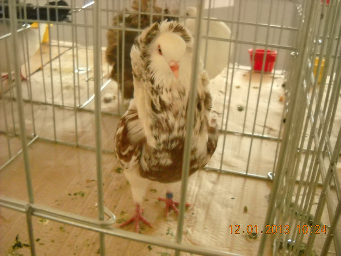 DSCN0349