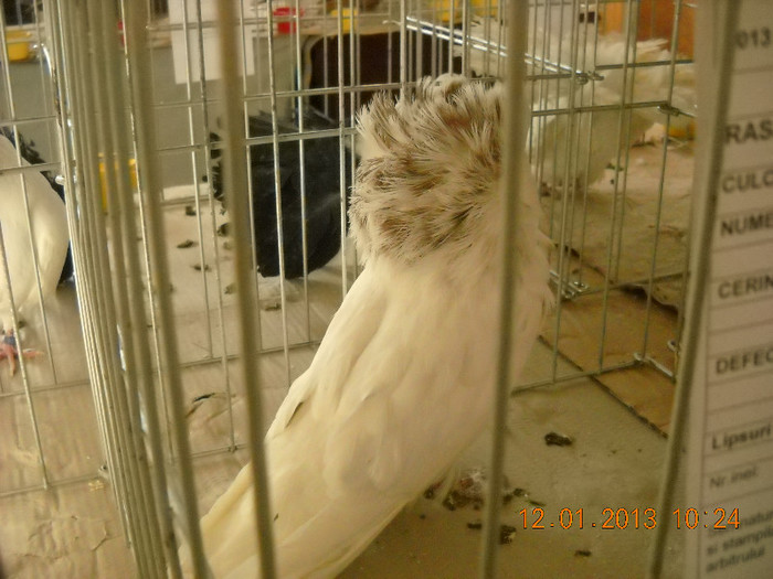 DSCN0355