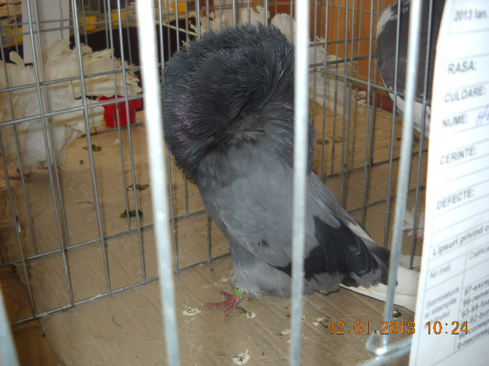 DSCN0356