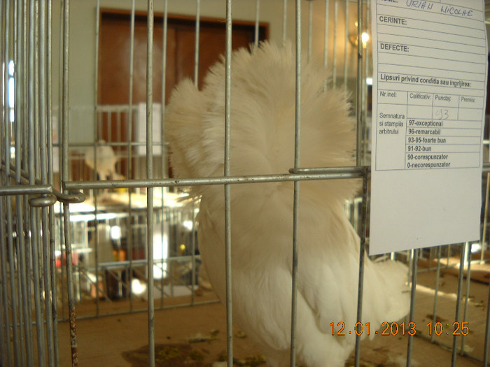 DSCN0358