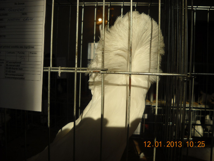 DSCN0359