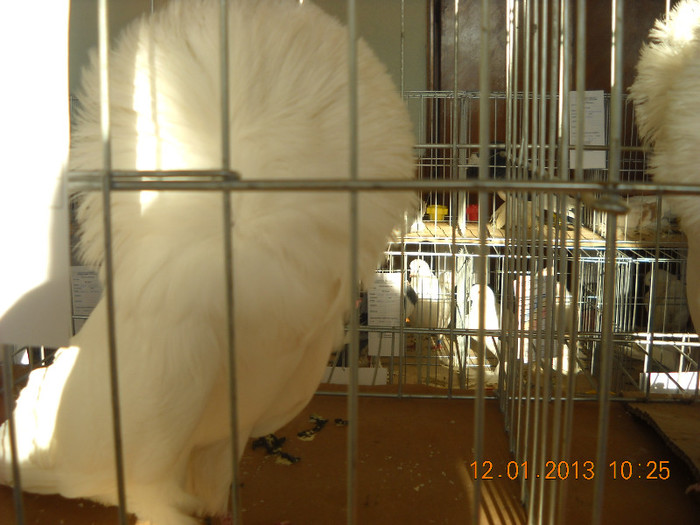DSCN0360