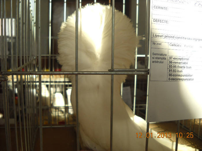 DSCN0361