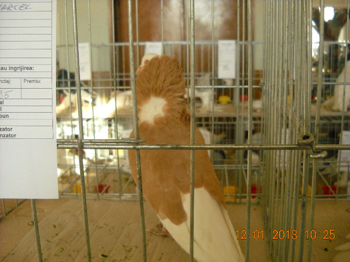 DSCN0363