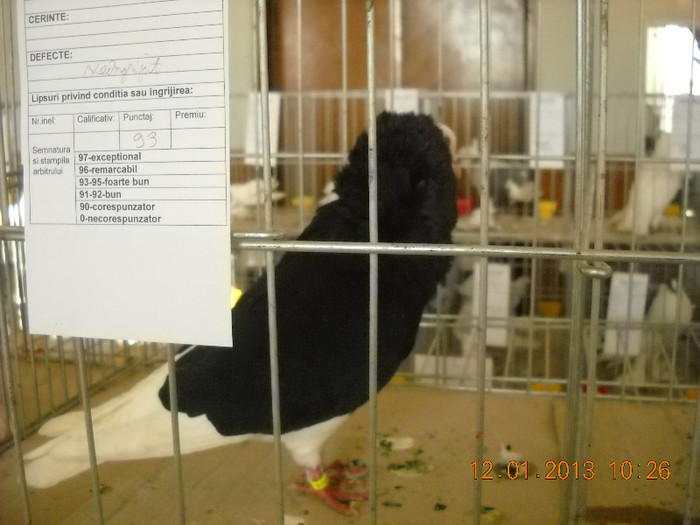 DSCN0364