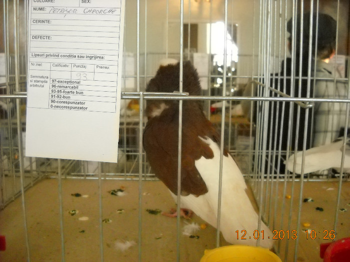 DSCN0367