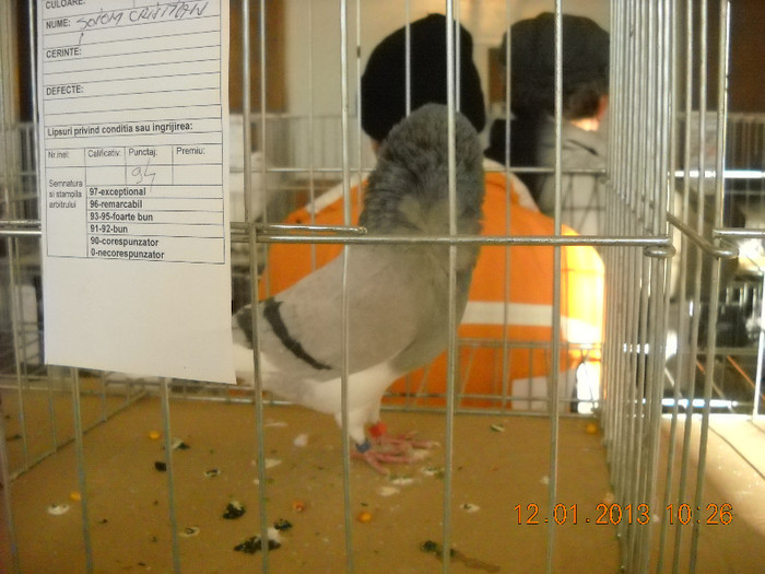 DSCN0368