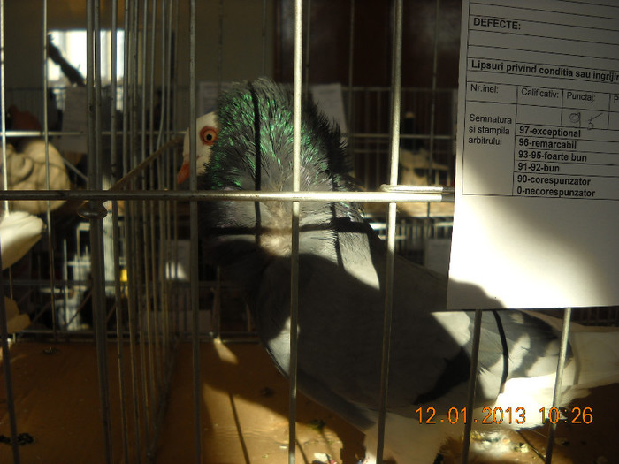 DSCN0370