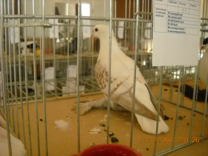 DSCN0372