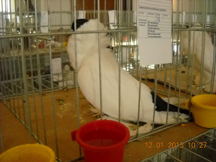 DSCN0374