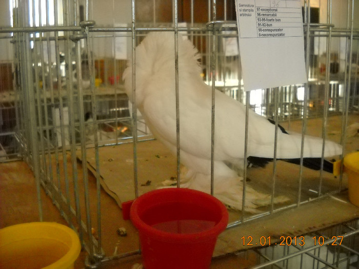 DSCN0375