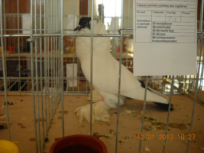 DSCN0376