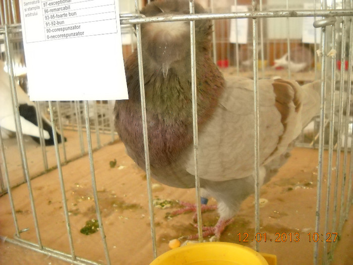 DSCN0377