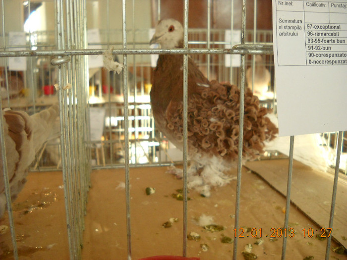 DSCN0378