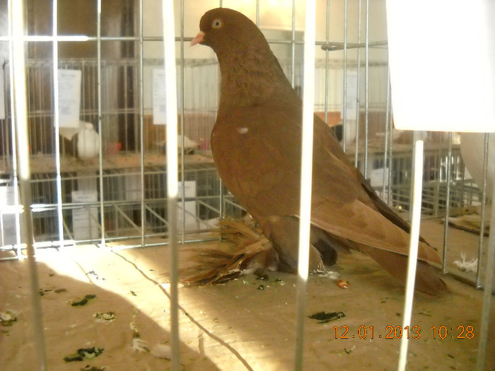 DSCN0382